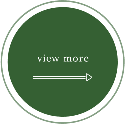 view more